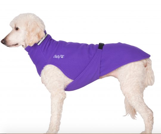CHILLY DOGS SWEATER IMPERIAL PURPLE SIZE 16