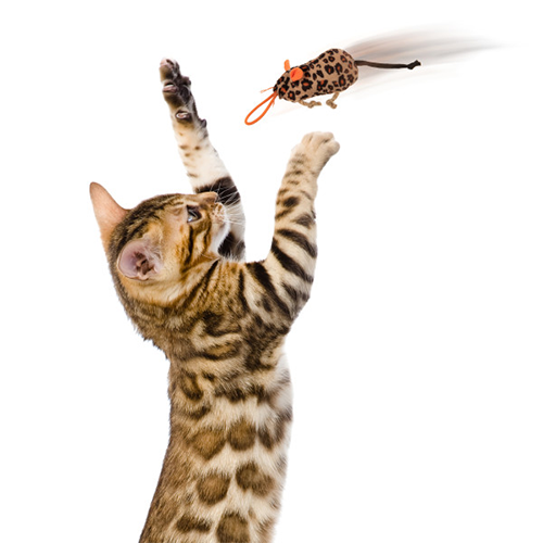 INSTINCTS BY SMARTYKAT SAFARI SNEAKERS HAPPYNIP SILVERVINE & CATNIP PLUSH CAT TOYS & LAUNCHER CAT TOY