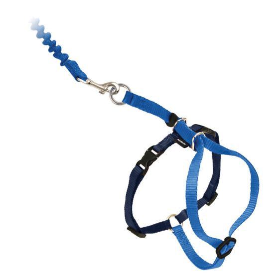 PETSAFE COME WITH ME KITTY HARNESS BUNGEE LEASH MEDIUM CAT