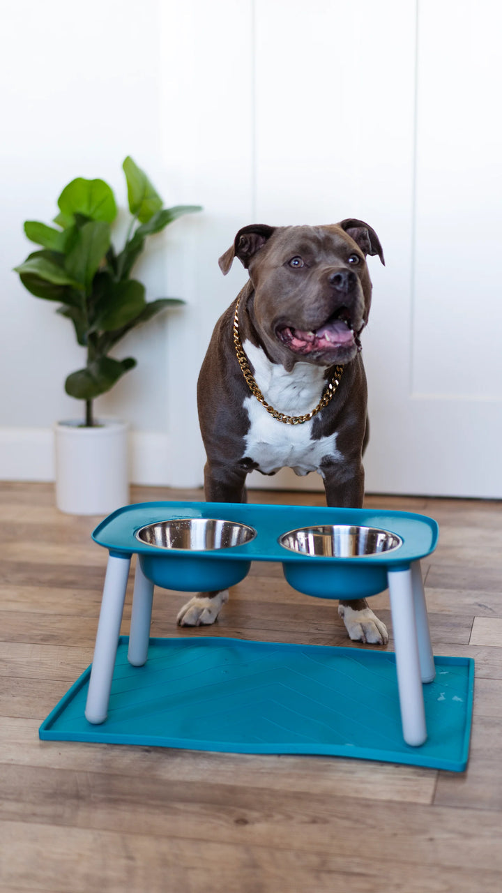 MESSY MUTTS - ELEVATED DOUBLE DOG FEEDER WITH STAINLESS BOWLS, ADJUSTABLE HEIGHT 3” TO 10”