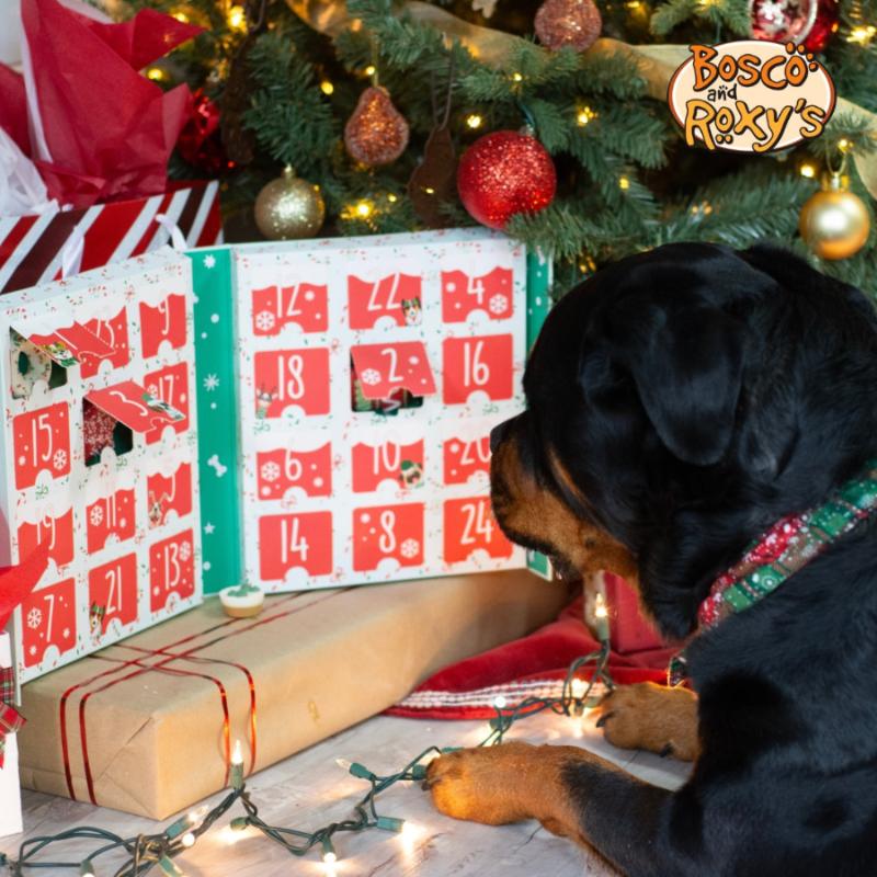 BOSCO & ROXY’S - BARK THE HALLS ADVENT CALENDAR FOR DOGS (2024)