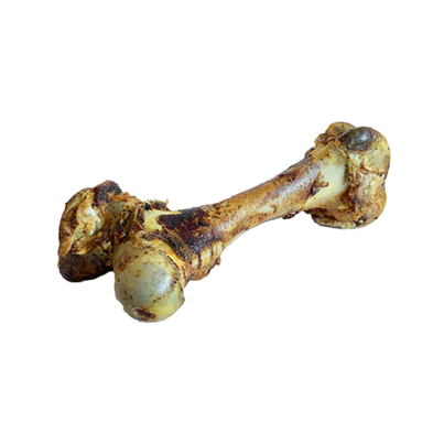 OPEN RANGE CURED BEEF DINO BONE DOG TREAT