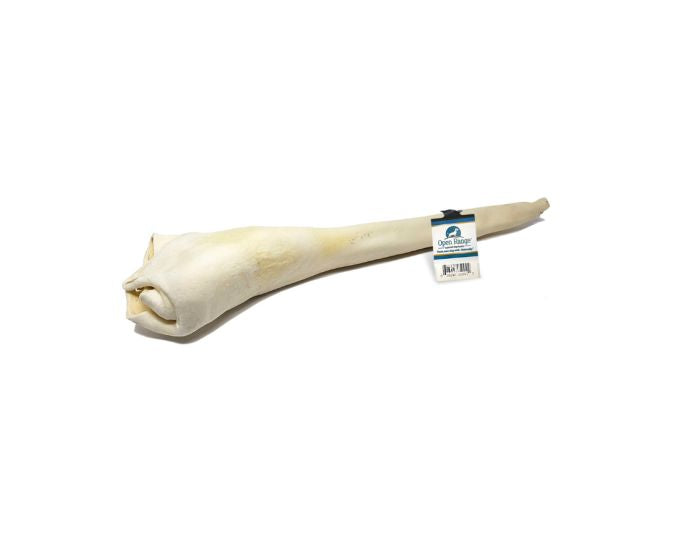 OPEN RANGE JUNIOR BULL TAIL 14-16IN
