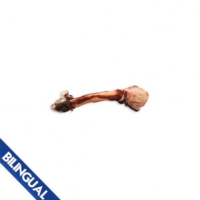 K9 CHOICE FOODS KANGAROO LEG BONES FROZEN DOG TREAT (1 PC)