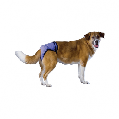 POOCH PAD POOCHPANTS REUSABLE DIAPERS BLUE X-LARGE