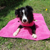 CHILLY DOGS REVERSIBLE SOAKER MAT