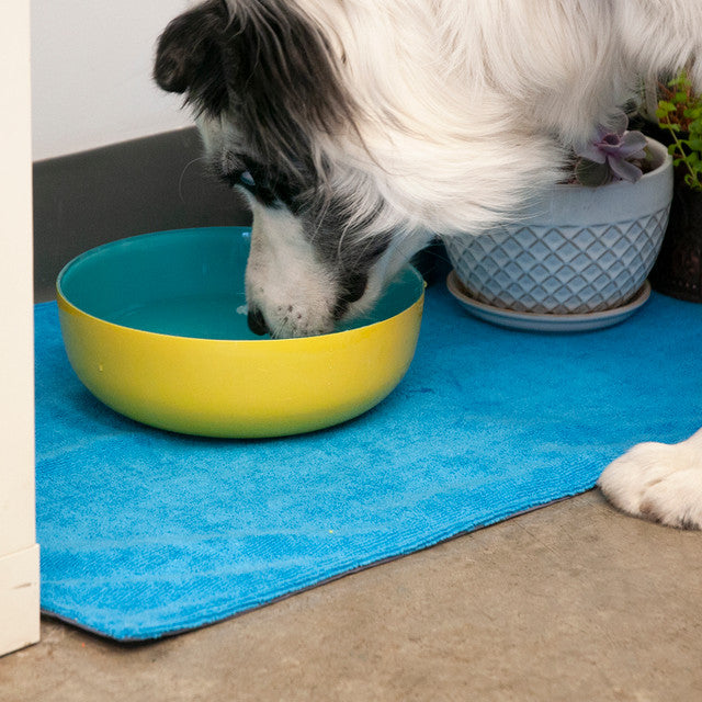 CHILLY DOGS REVERSIBLE SOAKER MAT