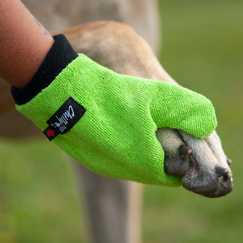CHILLY DOGS SOAKER MITTEN