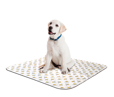 POOCH PAD REUSABLE ABSORBENT POTTY PADS WHITE SMALL