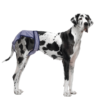 POOCH PAD POOCHPANTS REUSABLE DIAPERS BLUE XX-LARGE