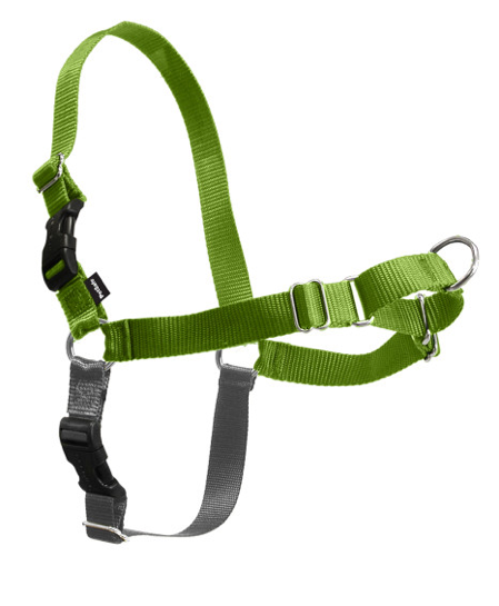 PETSAFE DELUXE EASY WALK HARNESS LARGE DOG