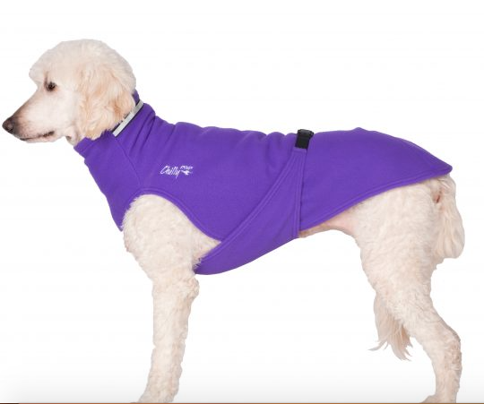 CHILLY DOGS SWEATER IMPERIAL PURPLE SIZE 36 End of the leash pet