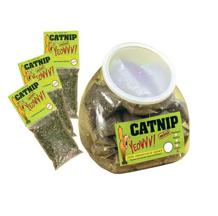 YEOWWW CATNIP MINI 4GM