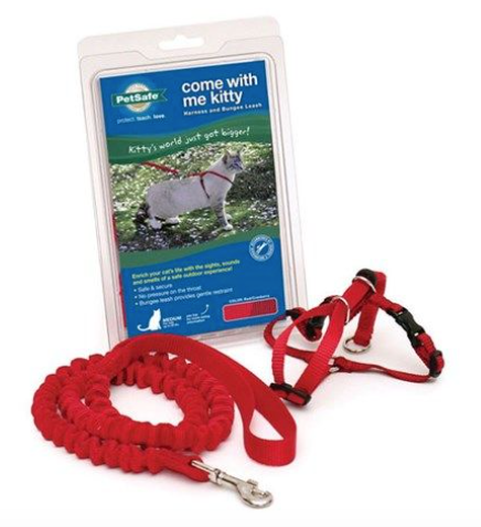 PETSAFE COME WITH ME KITTY HARNESS BUNGEE LEASH MEDIUM CAT