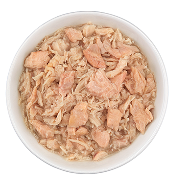 TIKI CAT WILD SALMON & CHICKEN RECIPE IN CHICKEN CONSOMMÉ WET CAT FOOD 6OZ