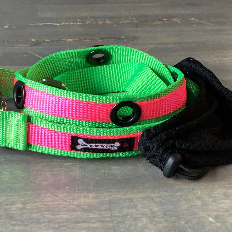 SMOOCHY POOCHY 1”x6’ HANDS FREE NYLON LEAD (TWO COLOURS)