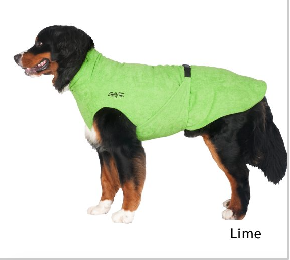 CHILLY DOGS SOAKER ROBE 28