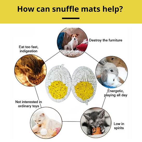 PAWZNDOGZ HEALTHY EGGCITEMENT ANIT-BITE SNUFFLE MAT - CHALLENGE LEVEL 3