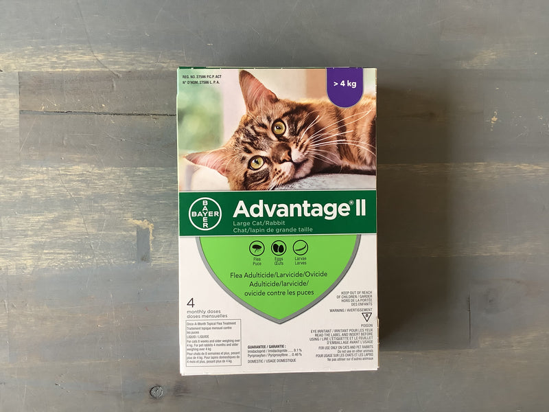 ADVANTAGE II - CAT 4KG> (4 MONTHLY DOSES)