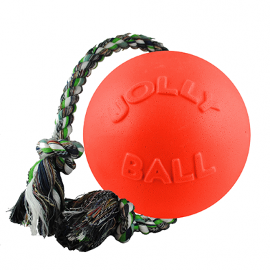 JOLLY PETS ROMP-N-ROLL ASSORTED COLORS 8"