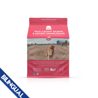 OPEN FARM WILD-CAUGHT SALMON & ANCIENT GRAINS DRY DOG FOOD 4LB